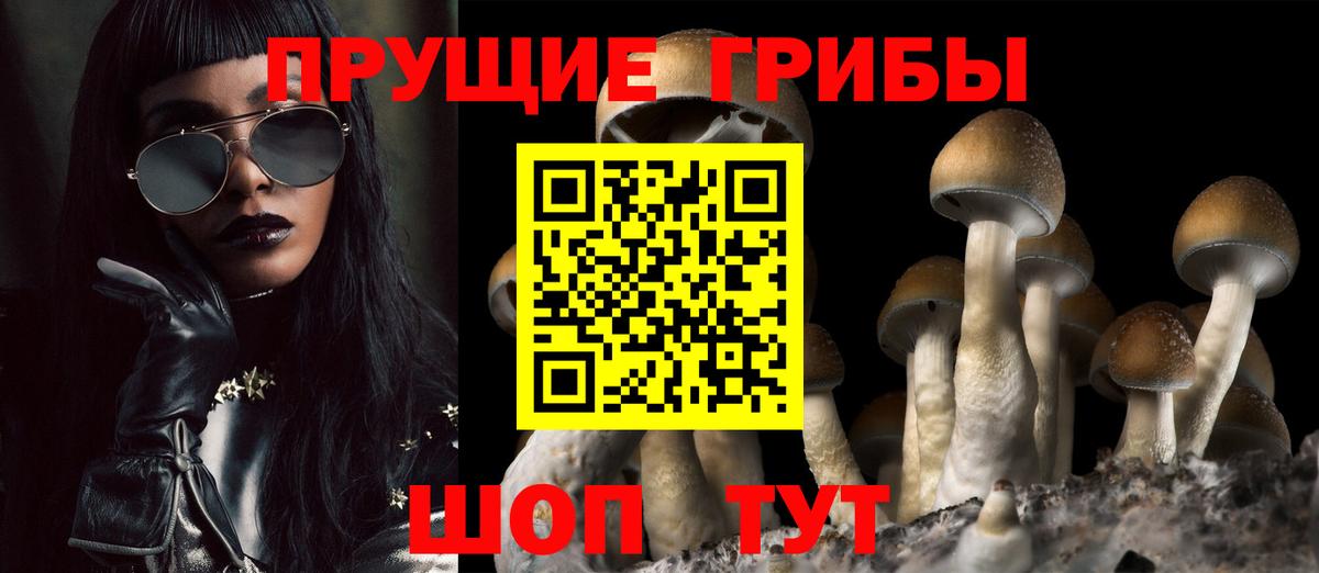даркнет сайт  Галлюциногенные грибы ЛСД  Вход с VPN  Кашира 